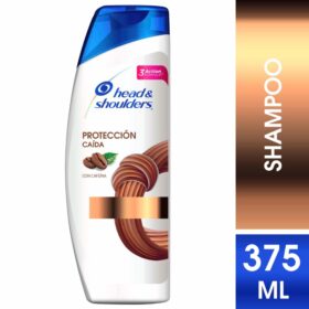 CHA.HEAD-SHOULDERS PROTEC.CAIDA 375 ML