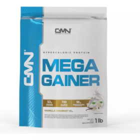 MEGA GAINER X 900