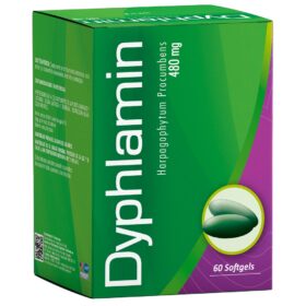 DYPHLAMIN 480 MG 60 CAPS HEALTHY