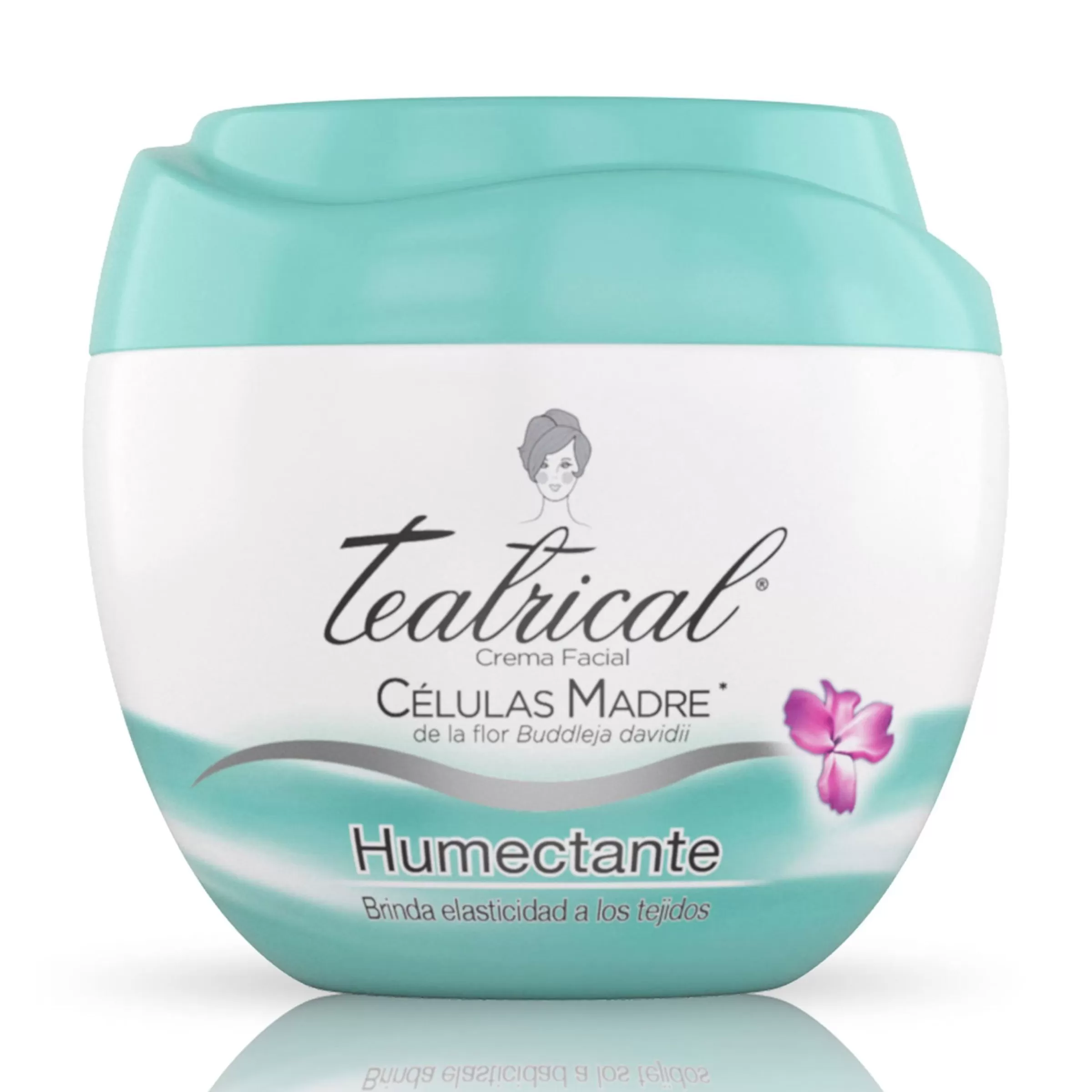 TEATRICAL CREMA HUMECTANTE 100 G - Imagen 1