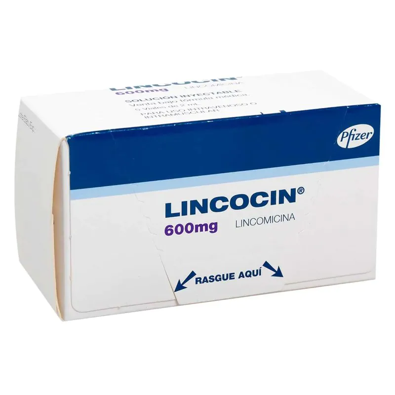 100024622 LINCOCIN 600 MG 5 AMPOLLAS - Imagen 1