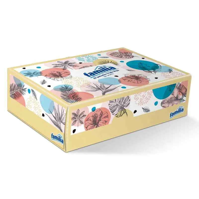 PANUELOS FAMILIA PEQ.AUTO 50 UND T/H - Imagen 1